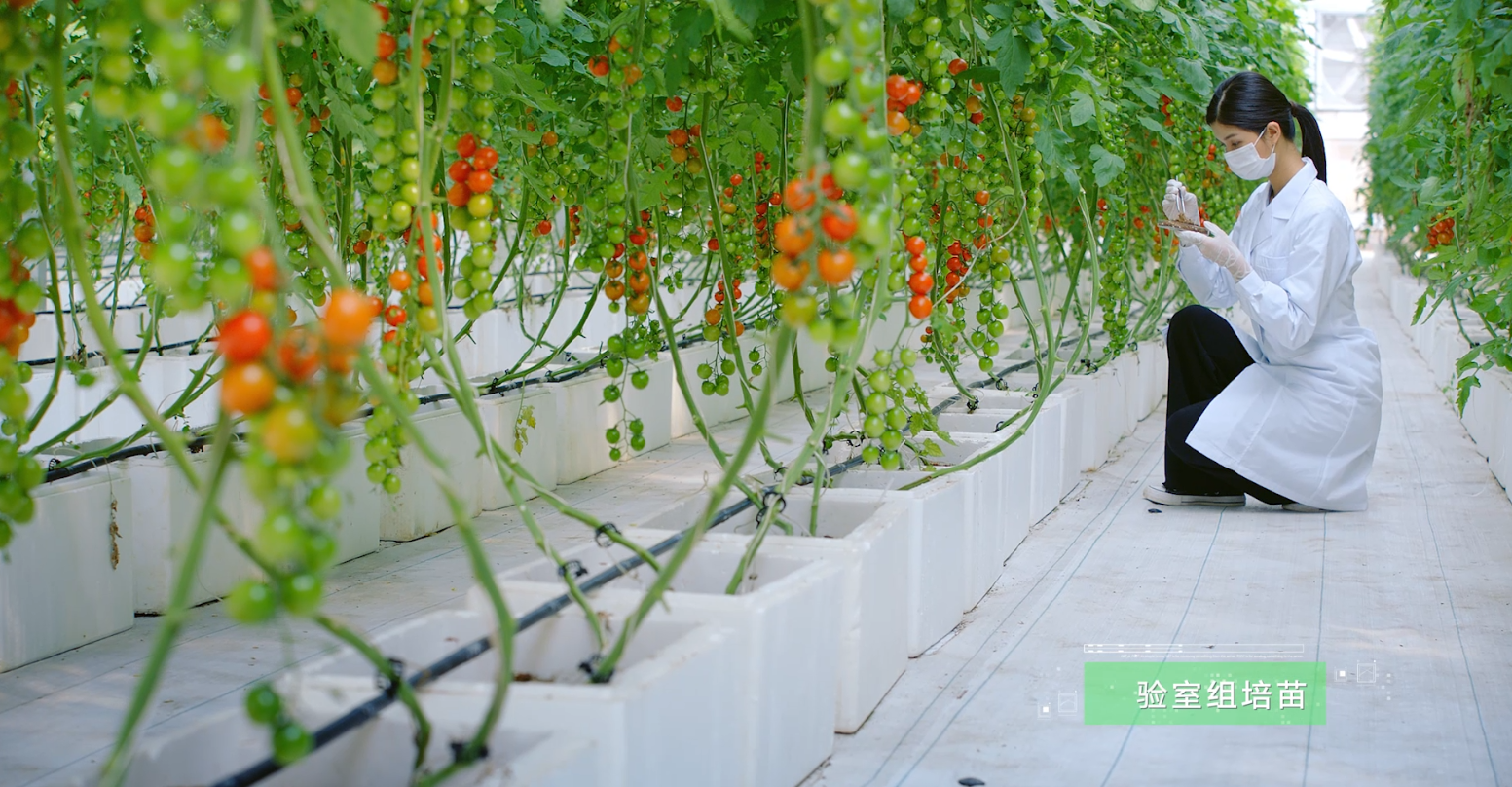 捕鱼游戏在线玩