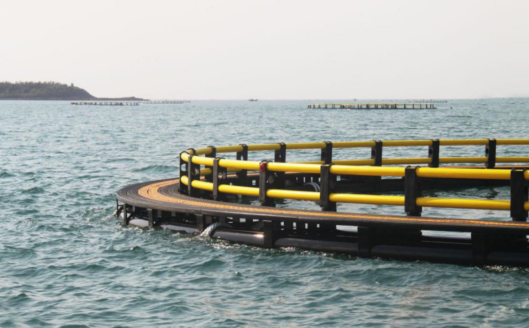 捕鱼游戏在线玩