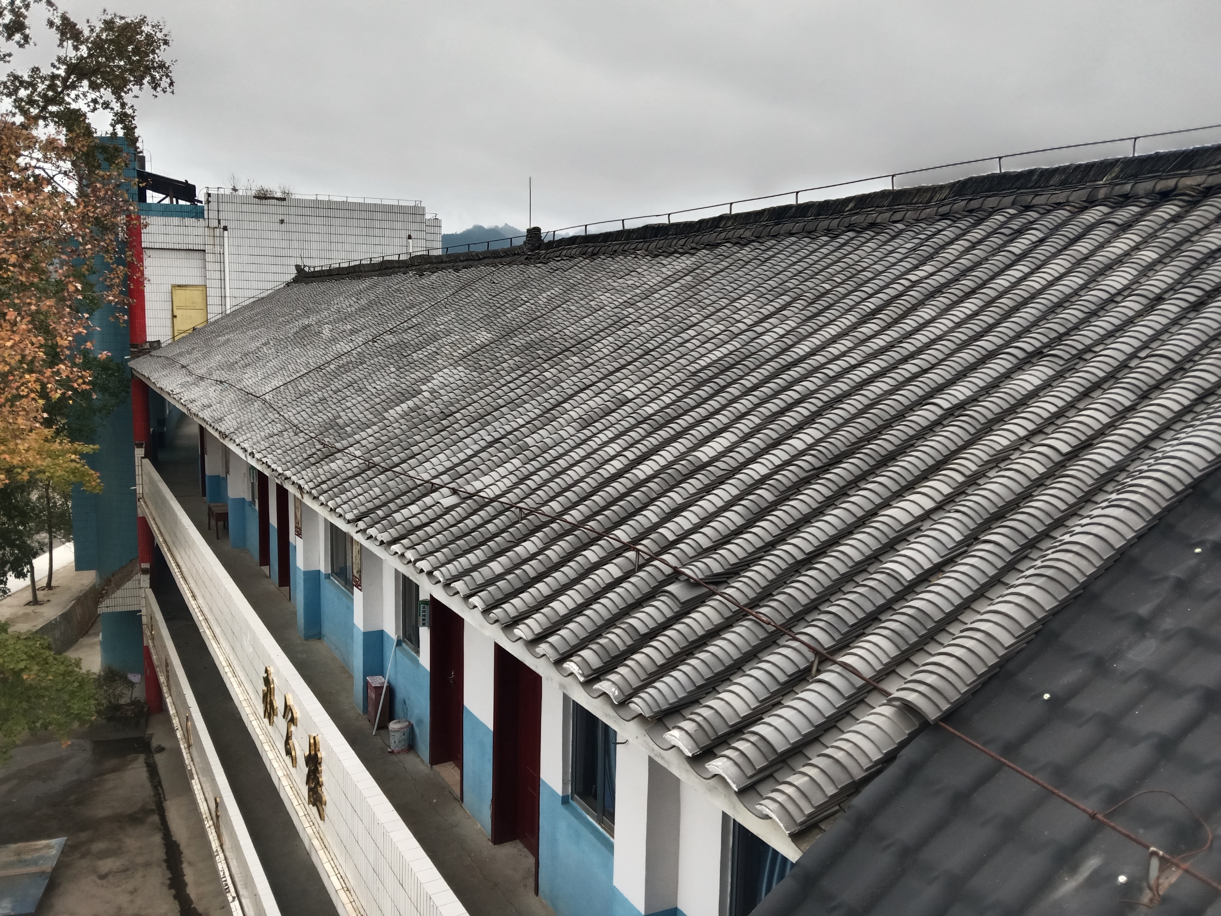 捕鱼游戏在线玩